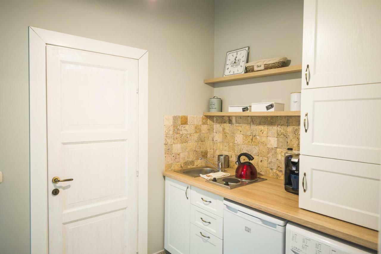 Chic Apartment In Historical City Center Τιμισοάρα Εξωτερικό φωτογραφία